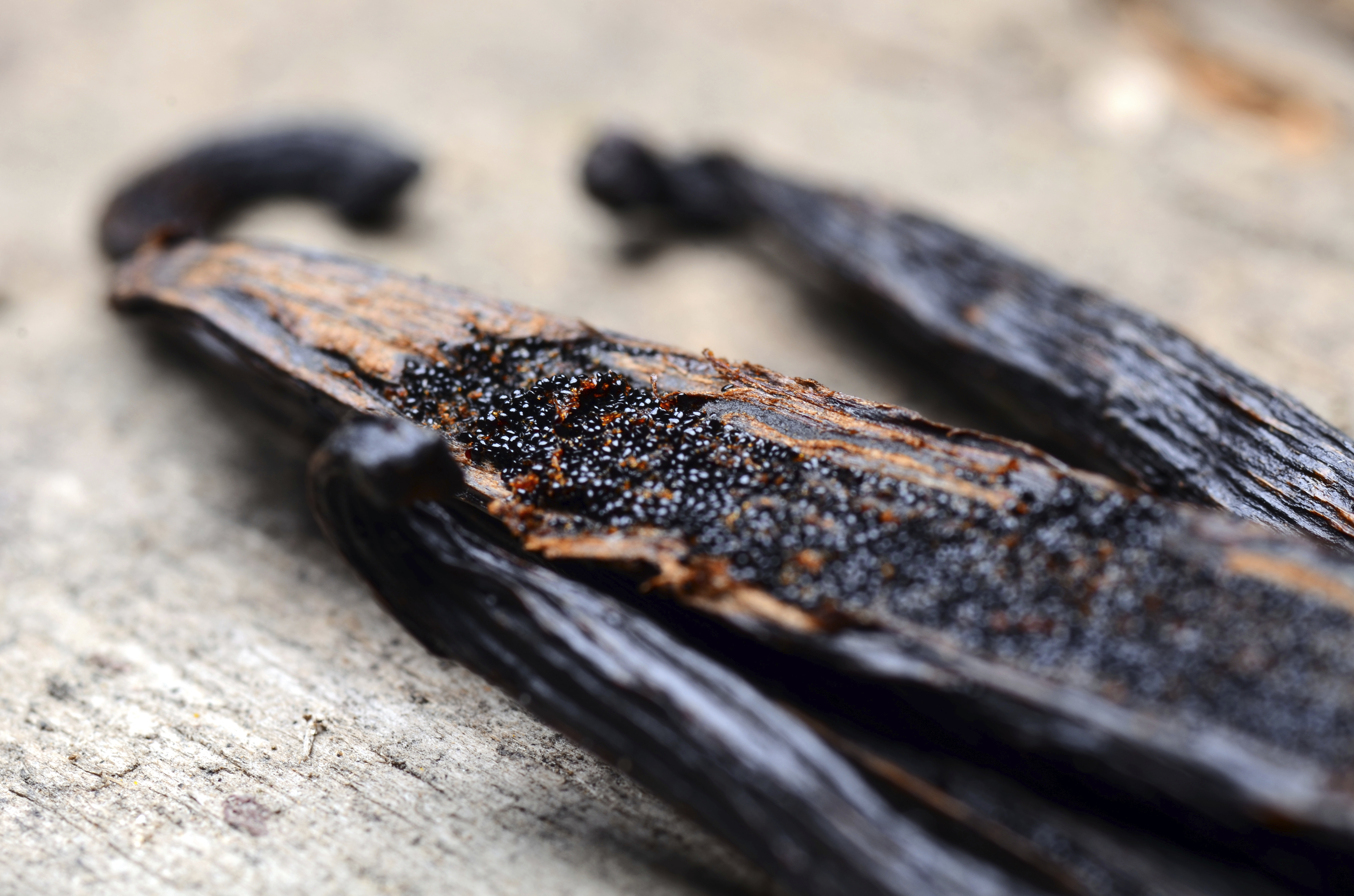 vanilla pods high resolution image